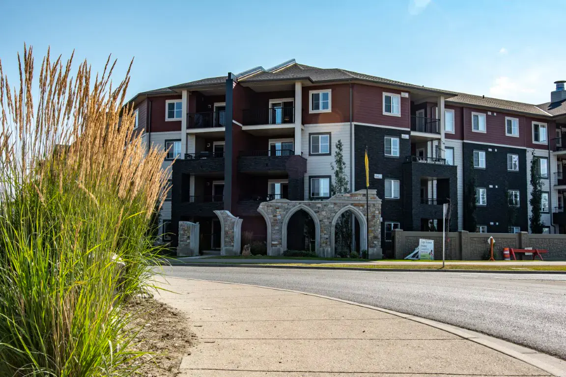 A residential street in Legacy